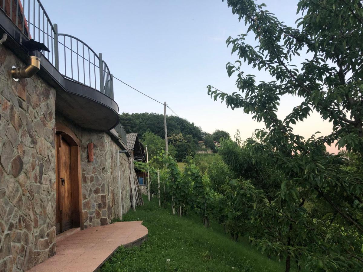 Vineyard Cottage Janko & Metka Otocec Luaran gambar