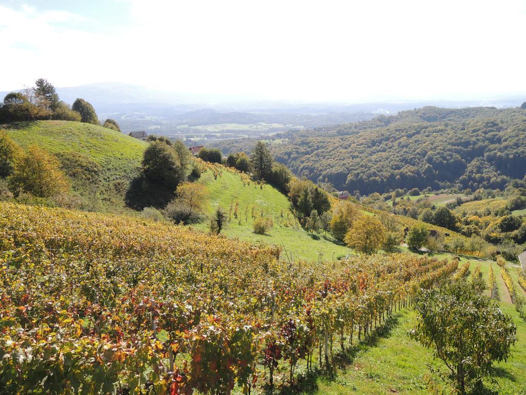 Vineyard Cottage Janko & Metka Otocec Luaran gambar